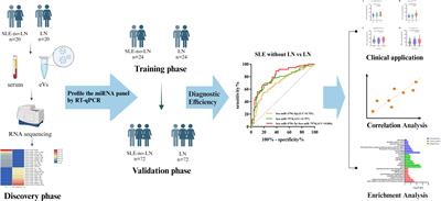 Circulating exosomal microRNAs as biomarkers of lupus nephritis